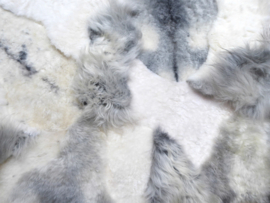 White-Grey Blizzard Sheepskin Rug, +/- 170 x 210 cm (12)