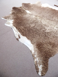 Taupe-White Cowhide XL (676)
