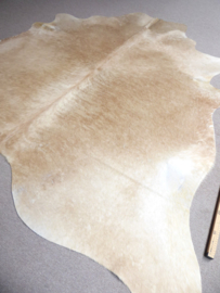 Beige Cowhide XL (811)