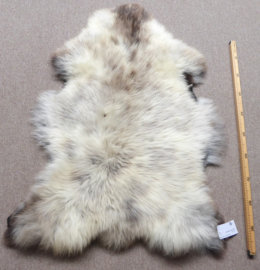 Mélange Sheepskin L (5408)