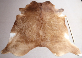 Caramel Cowhide XL (514)