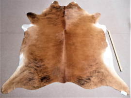 Caramel-Cognac Cowhide XL (82)