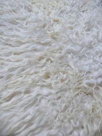 White Curly Sheepskin S/M (5010)