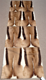 Springbok Patchwork Tapijt, 80 x 240 cm