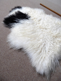 Spotted Curly Icelandic Sheepskin M (3302)