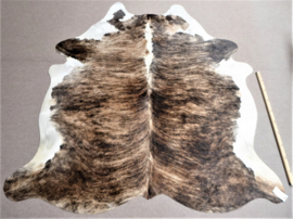 Brown-White Brindle Cowhide L (448)