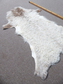 Curly Lambskin XS/S (6)