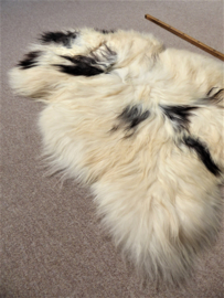 Spotted Icelandic Sheepskin  M (429)