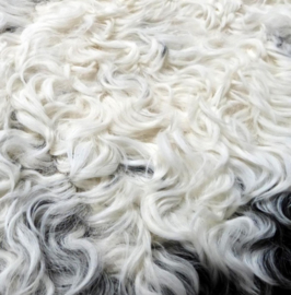 Curled Sheepskins