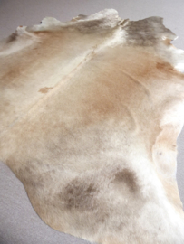 Champagne Cowhide L (554)