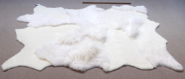 White Blizzard Sheepskin Rug, +/- 160 x 210 cm (502)