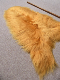 Golden Yellow Icelandic Sheepskin S (658)