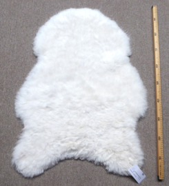 White Shorn Sheepskin S (5082)