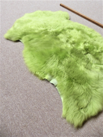 Apple Green Sheepskin S (4442)