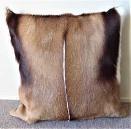 Springbok Cushion (36)