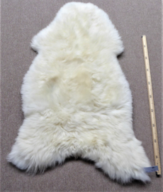 White Sheepskin XL (4717)