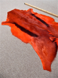 Oranje Springbokhuid (4)