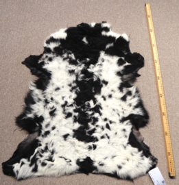 Curly Lambskin XS (20)