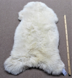 White Sheepskin L/XL (4716)