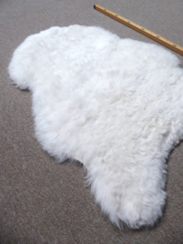 White Shorn Sheepskin S (5082)