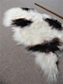 Spotted Icelandic Sheepskin M (351)