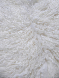 White Curly Icelandic Sheepskin L (731)