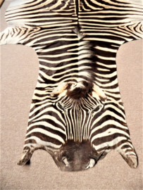 Zebra Hide Burchell B Grade (11)