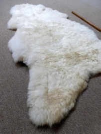 White Sheepskin XXL (1037)