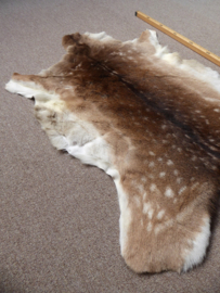 Fallow Deer Hide (11)