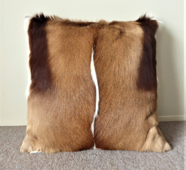 Springbok Cushion (25)