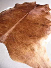 Cognac-White Cowhide XL (151')