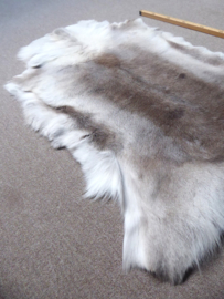 Reindeer Hide (38)