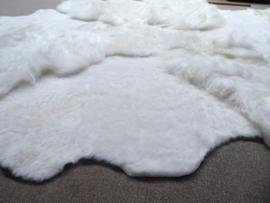 White Blizzard Sheepskin Rug, +/- 200 x 250 cm (14)