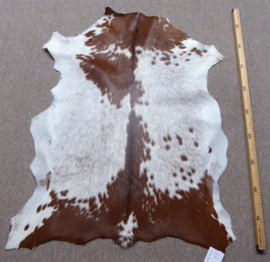 Goatskin (113)