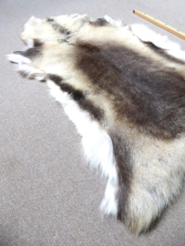 Reindeer Hide (40)