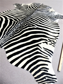 Koeienhuid met Zebra Print M (11)
