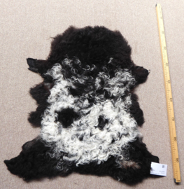 Curly Lambskin XS (10)