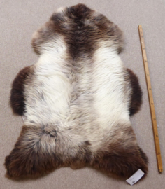 Brown-Beige Sheepskin L (5311)