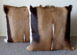 Springbok Cushion (15)