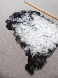 Curly Lambskin XS (5)