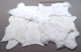 White Blizzard Sheepskin Rug, +/- 170 x 200 cm (301)