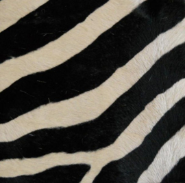 Printed Cowhides