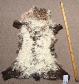 Curly Lambskin XS (15)