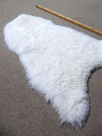 White Shorn Sheepskin S (5085)