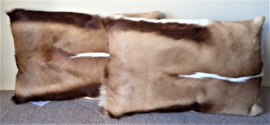 Springbok Cushion (46)