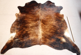 Brown Brindle Cowhide L/XL (311)