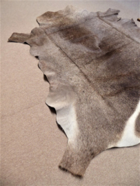 Waterbok Huid (1)