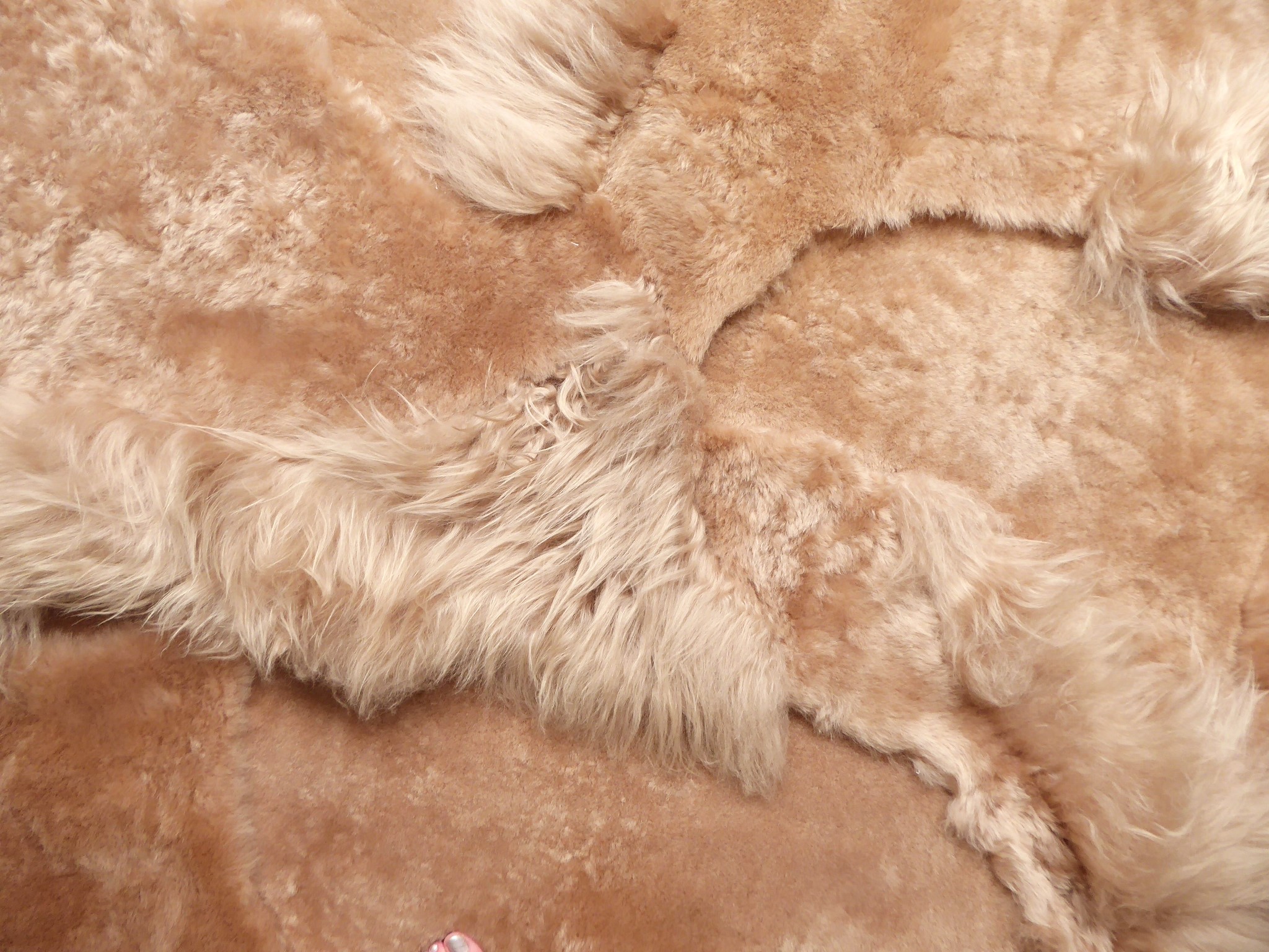 Tan Blizzard Sheepskin Rug, +/- 140 x 190 cm (9)