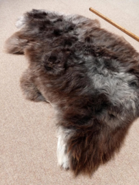 Welsh Sheepskin L (249)