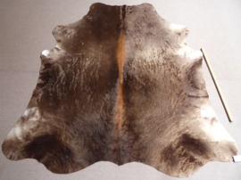 Taupe Koeienhuid XL (742)